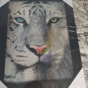 3D Slika - Lav - Tigar - Vuk , 36x46 cm , Novo !