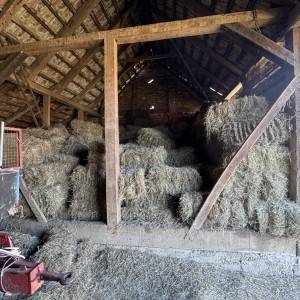 Kockaste bale sijena
