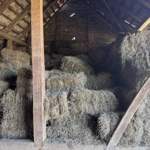 Kockaste bale sijena