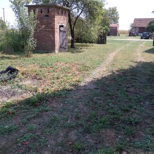 Prodajem kucu