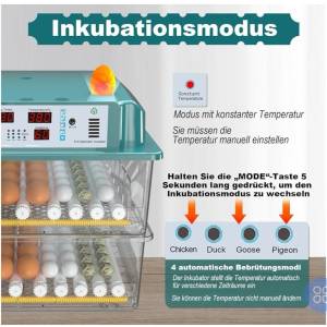 Profesionalni inkubator za 120 jaja, Incupro