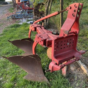 Plug vogel noot  12-18coli