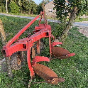 Plug vogel noot  12-18coli
