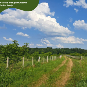 5.5 ha voćnjaka, 1500 stabala oraha, EKO OPG, osigurane polj.potpore