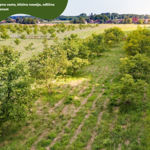 5.5 ha voćnjaka, 1500 stabala oraha, EKO OPG, osigurane polj.potpore