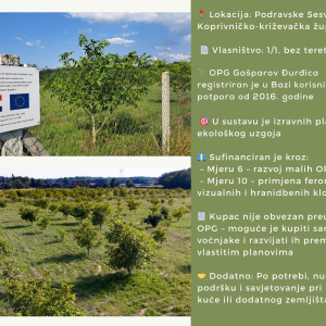 5.5 ha voćnjaka, 1500 stabala oraha, EKO OPG, osigurane polj.potpore