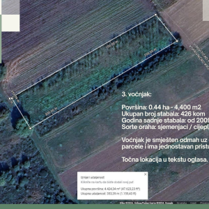 5.5 ha voćnjaka, 1500 stabala oraha, EKO OPG, osigurane polj.potpore