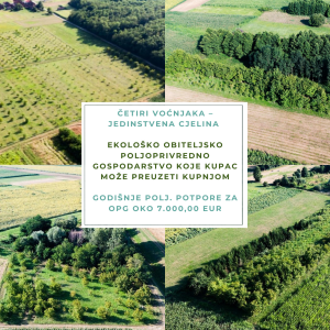 5.5 ha voćnjaka, 1500 stabala oraha, EKO OPG, osigurane polj.potpore