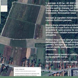 5.5 ha voćnjaka, 1500 stabala oraha, EKO OPG, osigurane polj.potpore