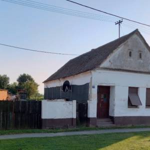 Gospodarstvo sa 2 kuće i plantažom Haskapa