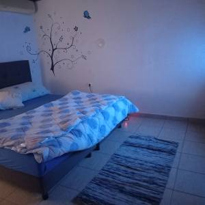 Gospodarstvo sa 2 kuće i plantažom Haskapa