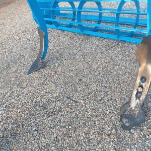 Gruber LEMKEN Achat 11