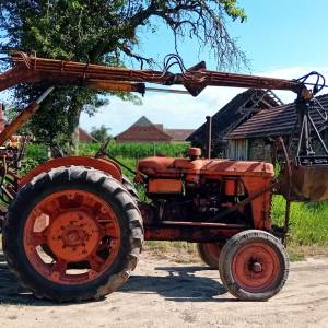Landini