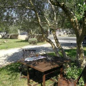 Zadar, kuća sa 1680 m2 okućnice
