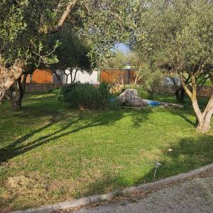 Zadar, kuća sa 1680 m2 okućnice