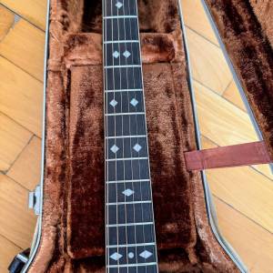 Ovation Glenn Cambell, raritet