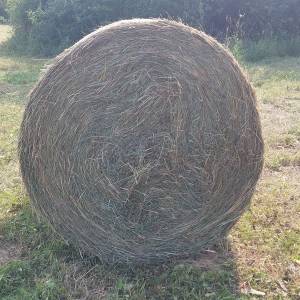 Rolo balirka Fort maxicut F21