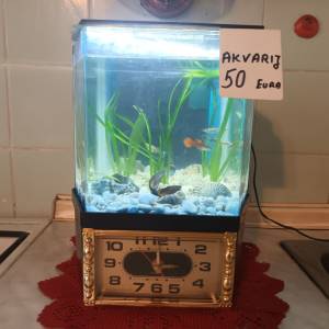 Akvarij kugla sa ribicama