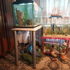 Akvarij šesterokutni