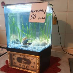 Akvarij šesterokutni