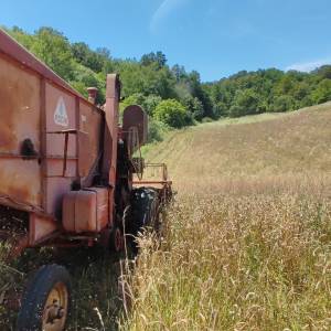 Kombajn epple mobil 211 , odličan