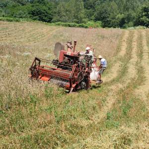 Kombajn epple mobil 211 , odličan