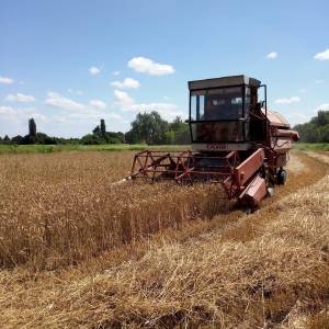 Kombajn fahr 922