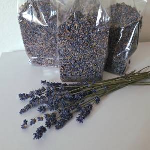 Lavanda cvijet