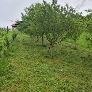 NAJBOLJA kosnja trave u Zagrebu i okolici