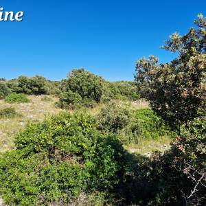 Prodaja zemljišta, otok Vir, prvi red do mora, 7863m2
