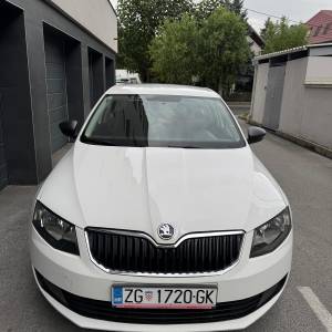 ŠKODA OCTAVIA 1.6TDI /prvi vlasnik/veliki servis/odličan/