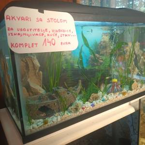 Ukrasni akvarij sa satom i svijetlom