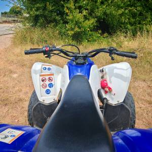 Yamaha raptor 90