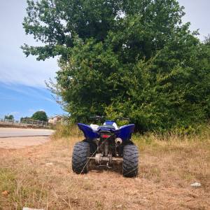 Yamaha raptor 90