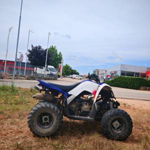 Yamaha raptor 90