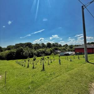 Našice, građevinsko zemljište 875 m2
