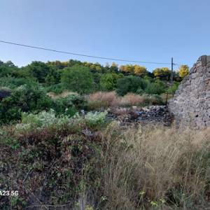 Otok Vis - Komiža ( Borovik ) kamena ruševna kuća, pogled