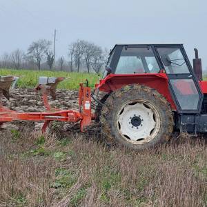 Plug Vogel & noot 1050