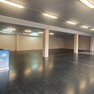 Rijeka,Viškovo poslovni prostor 450 m2