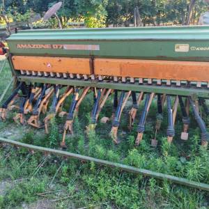 Sijacica Amazone d7