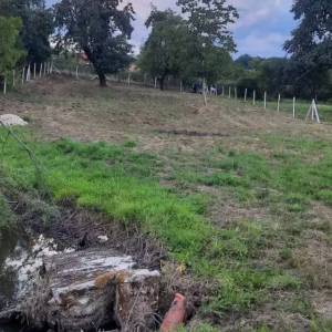 Vrsim uslugu kosnje i održavanje okućnice gdje god da se nalazite