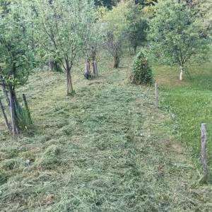 Vrsim uslugu kosnje i održavanje okućnice gdje god da se nalazite