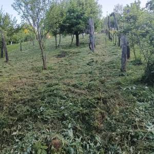 Vrsim uslugu kosnje i održavanje okućnice gdje god da se nalazite