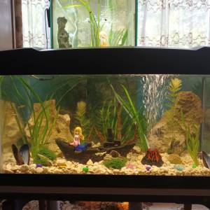Akvarij 54 litre, sa poklopcem i postoljem