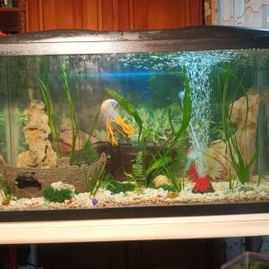 Akvarij 54 litre, sa poklopcem i postoljem