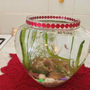 Akvarij 54 litre, sa poklopcem i postoljem