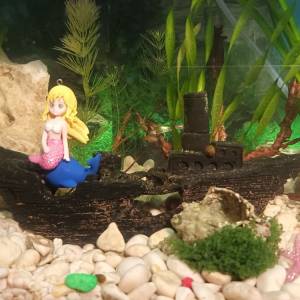 Akvarij šesterokutni, 19 litara