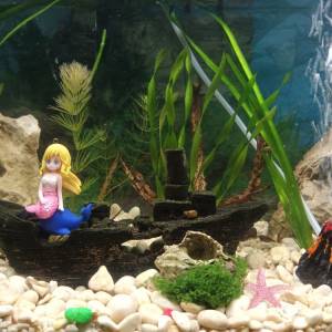 Akvarij šesterokutni, 19 litara