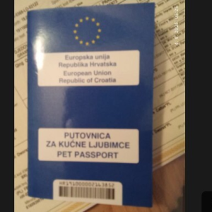 Britanska kratkodlaka mačka