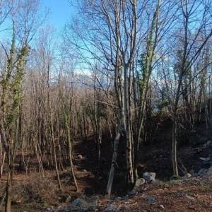 Građevinsko zemljište, Opatija, Bregi, 2355 m2 + poljoprivredno 4077m2